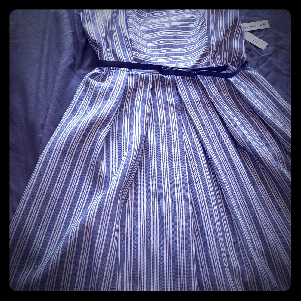Shelby and Palmer Summer Dress